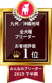 みんなのブリーダー 2025下半期｜九州／沖縄地域・全犬種ブリーダー｜お客様評価 1位