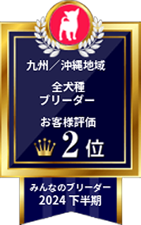 みんなのブリーダー 2024下半期｜九州／沖縄地域・全犬種ブリーダー｜お客様評価 2位