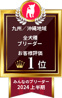 みんなのブリーダー 2024上半期｜九州／沖縄地域・全犬種ブリーダー｜お客様評価 1位
