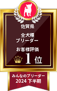 みんなのブリーダー 2024下半期｜佐賀県・全犬種ブリーダー｜お客様評価 1位