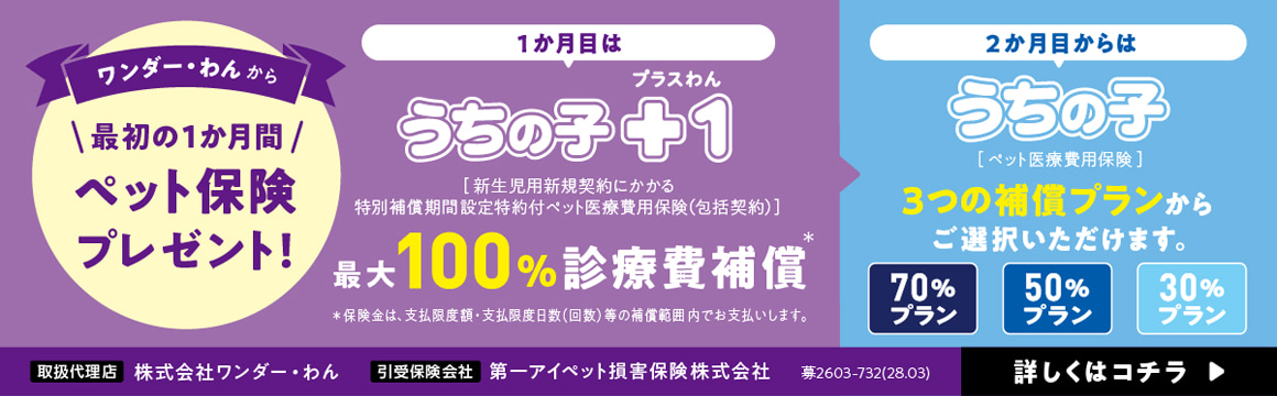 ワンダー・わんから最初の1か月間ペット保険プレゼント。1か月はうちの子+1、プラスわん。新生児用新規契約にかかる特別補償期間設定特約付ペット医療費用保険で最大100%の診療費補償。2か月目からはうちの子、70%・50%・30%の3つの補償プランから選択可能。