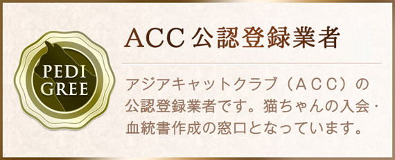 ACC公認登録業者
