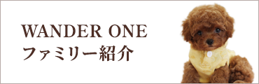 WANDER ONEファミリー紹介