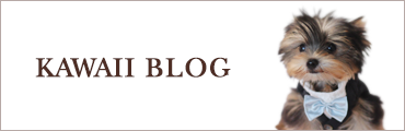 KAWAII BLOG