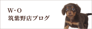 W・O 筑紫野店ブログ